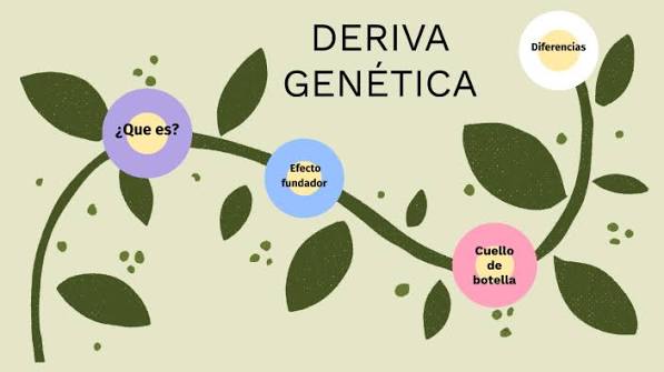 deriva