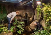 Encuentran enzimas bacterianas que degradan el plástico
