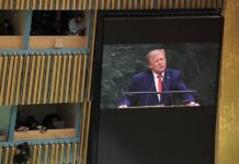 Es México epicentro de cárteles.- Trump