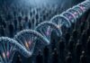 ¿Está nuestra personalidad escrita en nuestros genes?