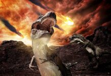 Por qué la Tierra se llena de seres diminutos tras las grandes extinciones masivas