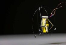 Robot minúsculo que salta con toda precisión