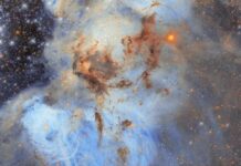 ¡Impresionante! Captó Hubble superburbuja en la Nebulosa N44