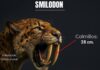 Cómo el Smilodon abría su mandíbula 120 grados sin dislocársela
