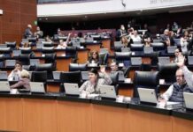 Senado aprueba reforma a Ley General de Turismo contra explotación sexual infantil