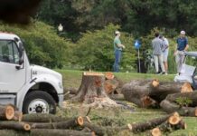 Dice Trump que cerrará histórico campo de golf de Washington