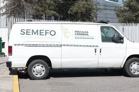 descargar