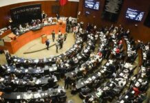 Busca repetir 60% de diputados de 4T