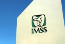 Registra IMSS más de 3 mil carencias reportadas por personal