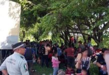 Reporta INM rescate de 300 mil migrantes en 2025