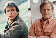 Hospitalizaron de emergencia a Marc Singer, actor de «Beastmaster»