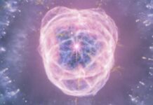 Captó James Webb imágen de la Nebulosa del León