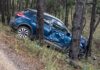 Sale del camino y choca contra pinos en la carretera a Balleza