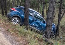Sale del camino y choca contra pinos en la carretera a Balleza