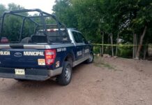 Localizan a mujer sin vida en baldío de Cuauhtémoc; la identifican