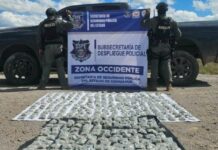 Decomisan pick up Ram robada con 10 kilos de marihuana en Bocoyna