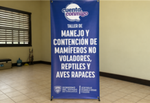 Más preparados para contener fauna silvestre: capacitan a la Brigada de Recate Animal