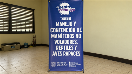 taller